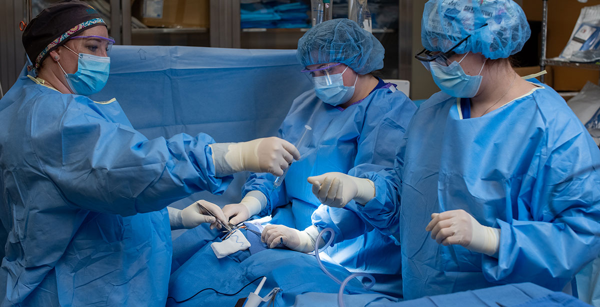 Surgical tech program admission requirements and prerequisites